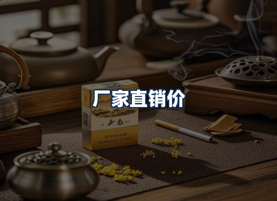 专业团队办公环境